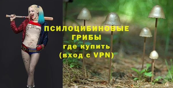 меф Арсеньев