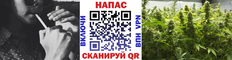 Бошки Шишки White Widow  где продают наркотики  Новый Оскол 